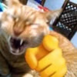 Meet your Posher, Charly